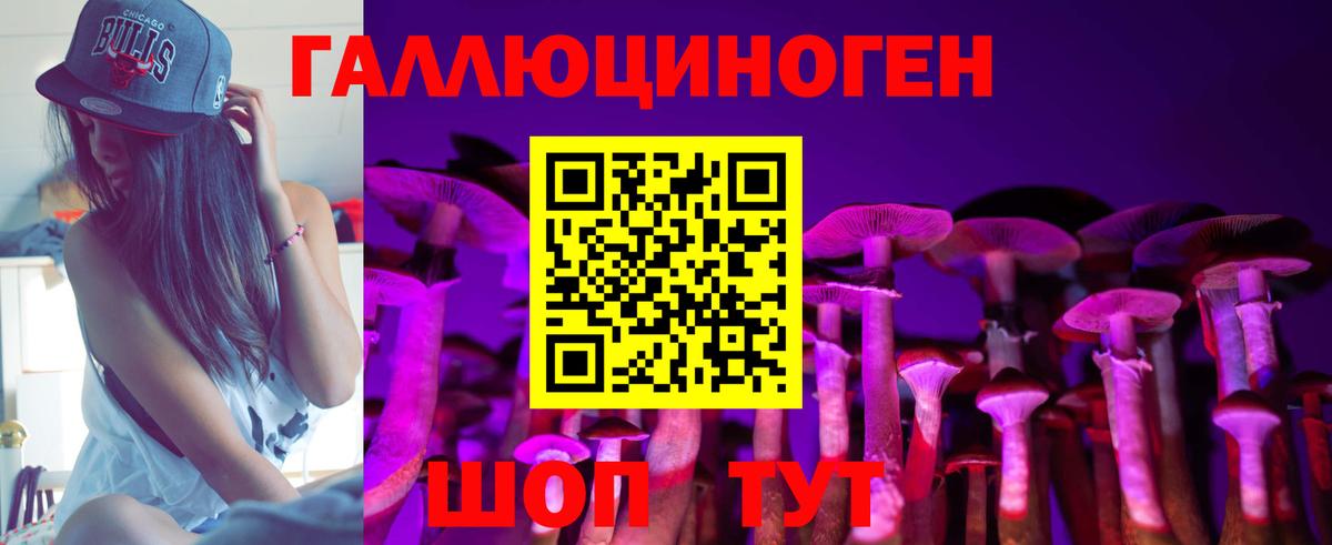 где найти   Псилоцибиновые грибы прущие грибы  Псилоцибиновые грибы MAGIC MUSHROOMS  Вход с VPN  Кохма 